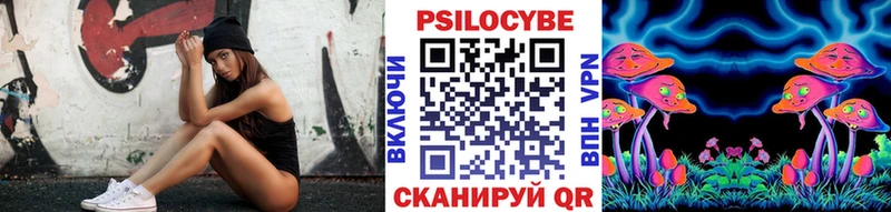 Галлюциногенные грибы Psilocybe  Ачинск 