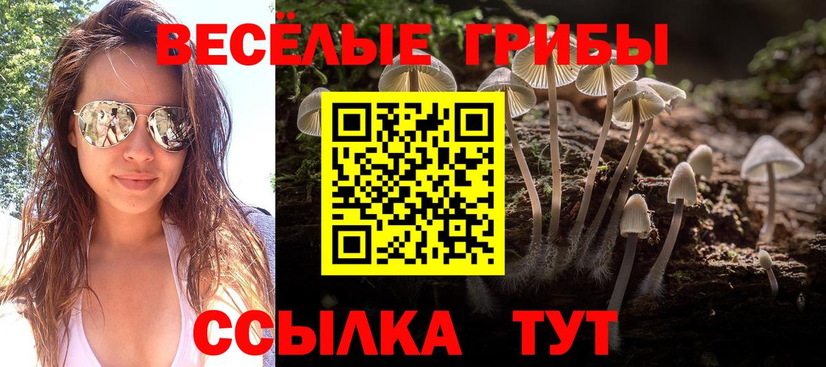 Ачинск  Псилоцибиновые грибы прущие грибы  Галлюциногенные грибы GOLDEN TEACHER  Вход с VPN 